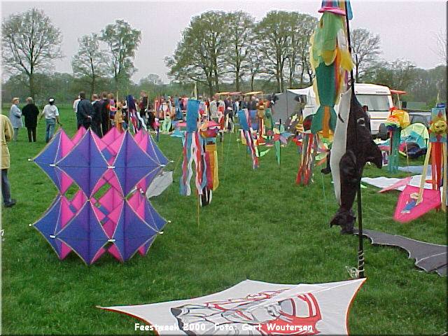 00D30_3_kite_03.jpg