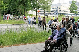 rolstoelvierdaagse-10.jpg