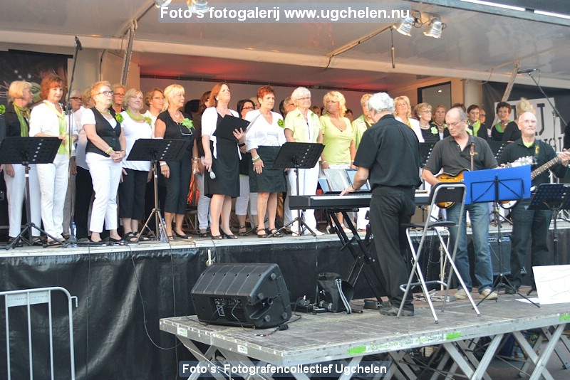 zomerfeest-2013-tl-23.jpg