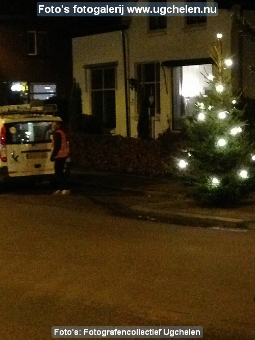 kerstbomen4.jpg