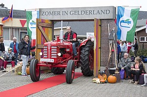 Zomer in GLd-TL-1239.jpg