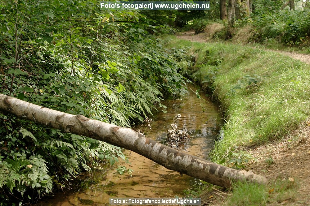 lente-09-kl.jpg