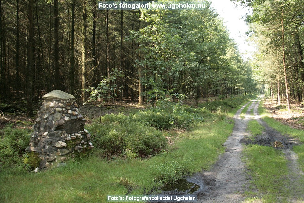 Zomer-03-kl.jpg