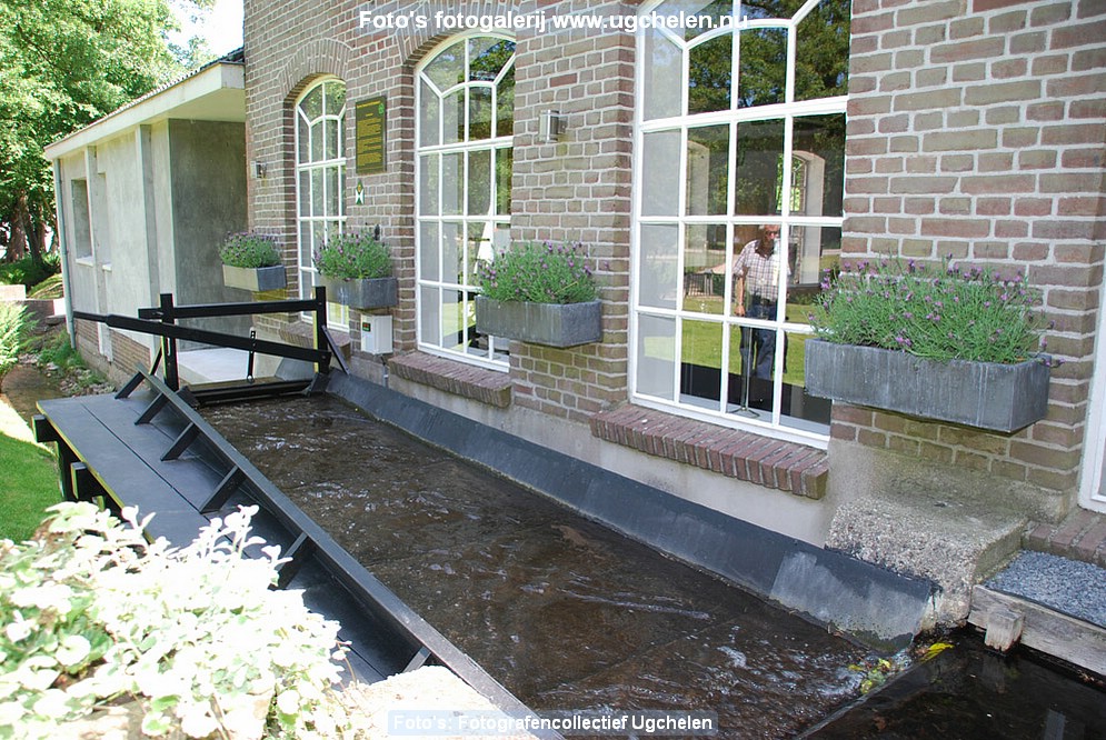Zomer-06-kl.jpg