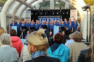 Zomerfeest-DR-6597.jpg