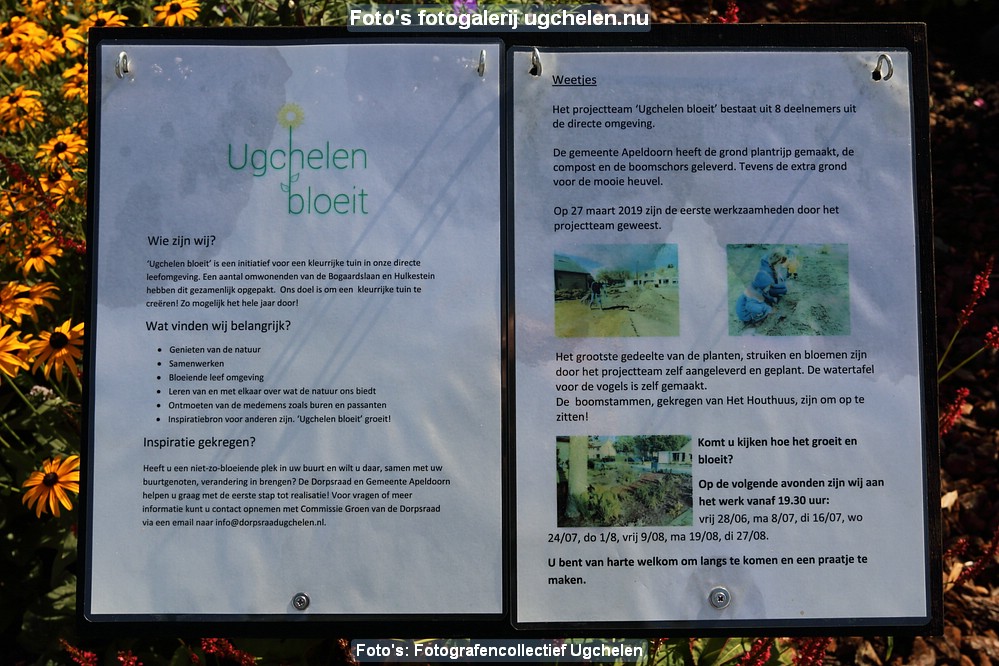 UgchelenBloeit-DR-2216.JPG