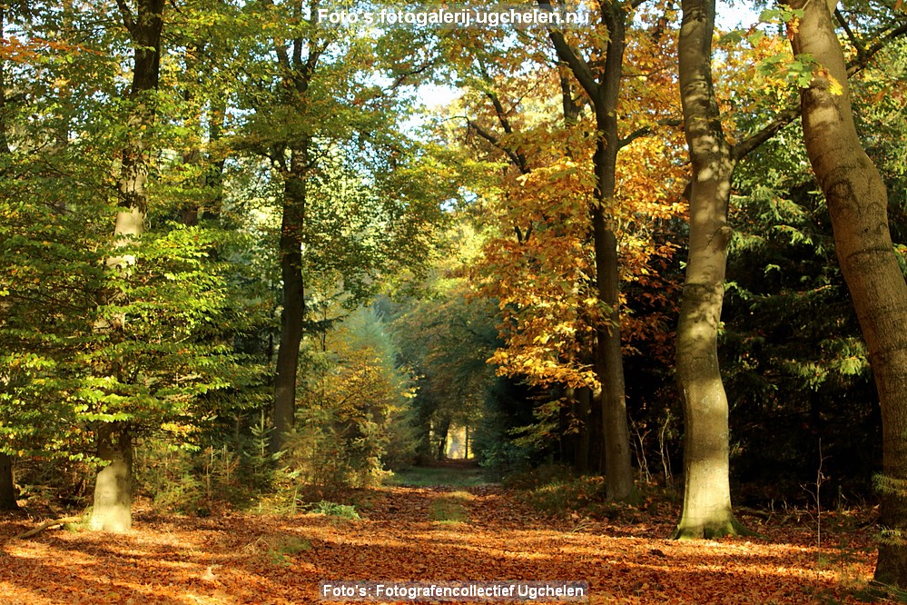 Herfst-DR-4083.JPG