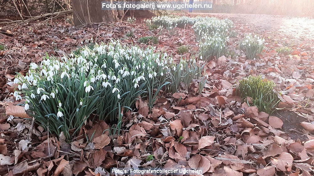 Lente-JVV-2021 (5).jpg