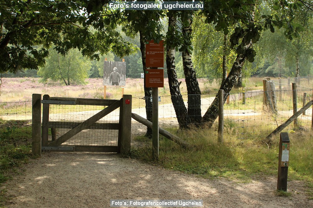 Het_Leesten-DR-4368.JPG