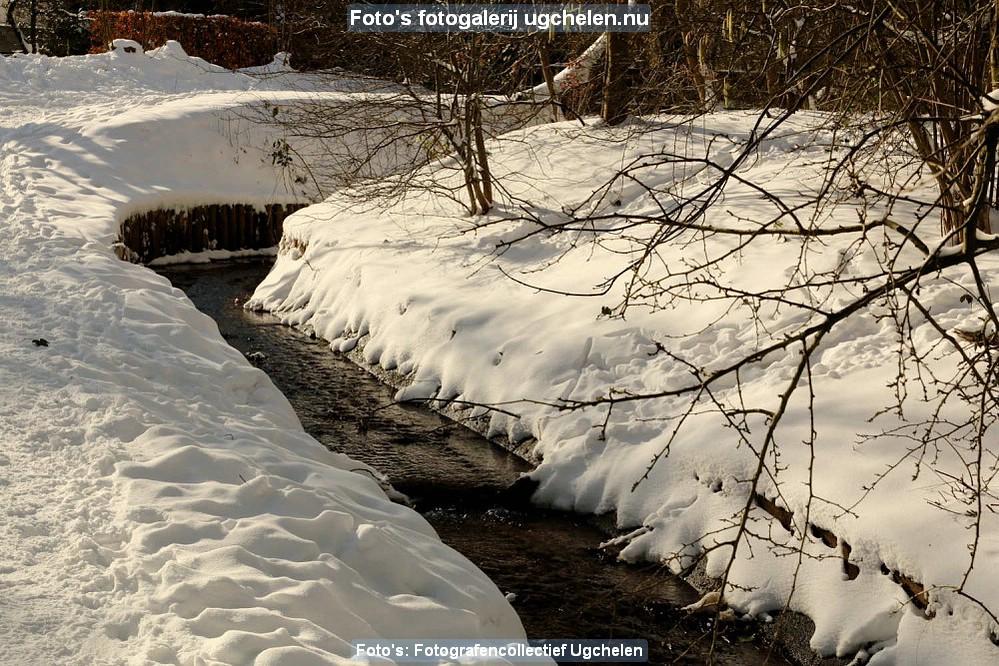 Winter_2021-DR-2971.jpg