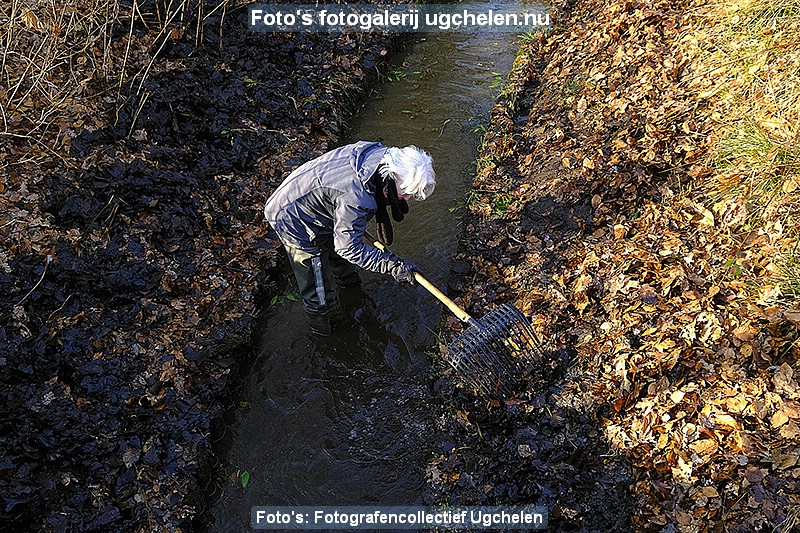 140223_Schoonmaak Goudvink Caroussel 1.jpg