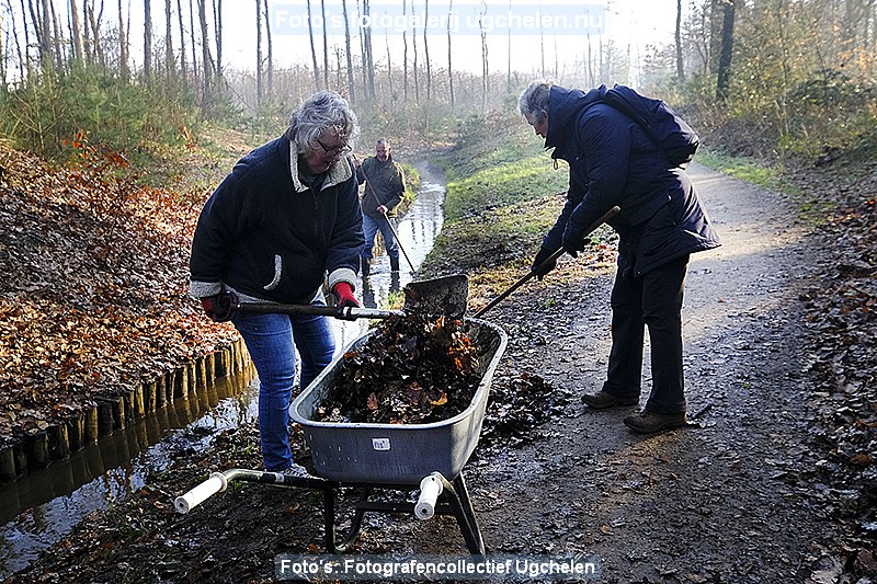 140223_Schoonmaak Goudvink Caroussel 2.jpg
