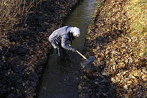 140223_Schoonmaak Goudvink Caroussel 1.jpg