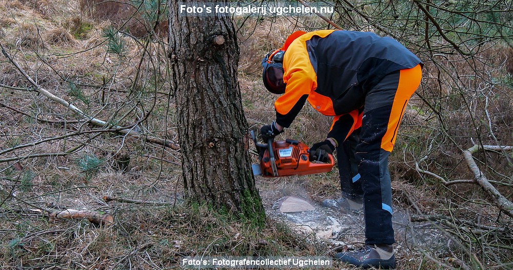 't Leesten Bomen en Paarden_HM-03-P1015645-1.jpg