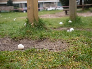 Paaseieren_zoeken-JvM-01.JPG