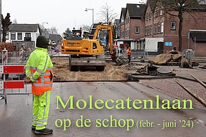 Molecatenlaan-DR-1686.jpg