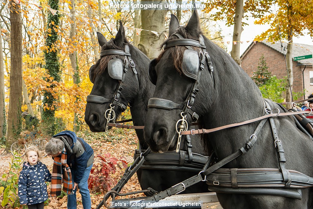 Intocht Sinterklaas 2024-HM-P1048846-ENR-Edita.jpg