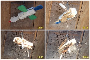22_Vogelschieten 2025-HM-Collage_RakeSchoten_01.jpg