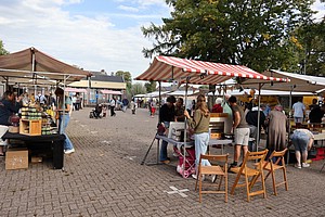 2025-09-20 Honingmarkt (03).JPG