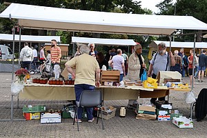 2025-09-20 Honingmarkt (16).JPG